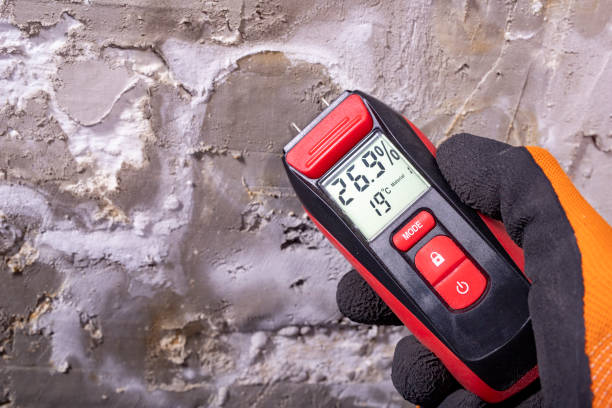 Best Post-Flood Mold Remediation in Greenfield, WI